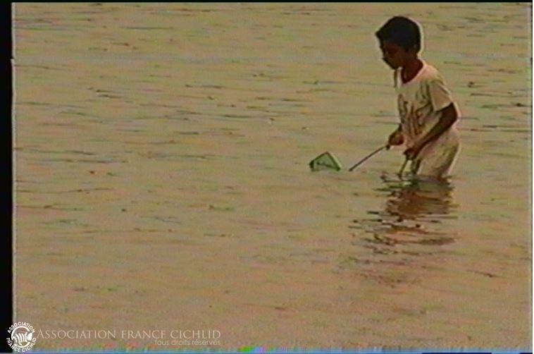 Mon fils Jiten. Né à Kigoma. Pratiquer et apprendre la pêche au poisson… il n'avait que 7 ans.JPG