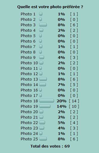 resultats-sondage.jpg