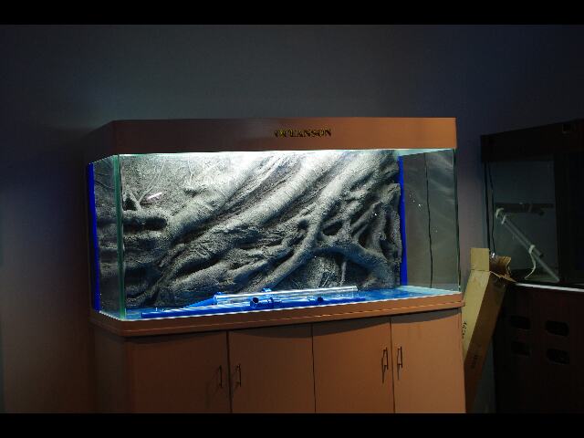 ca c'est notre nouvel aquarium de 780l qui va tres vite arriver avec un decor de fond (1100 € chez worldfich)