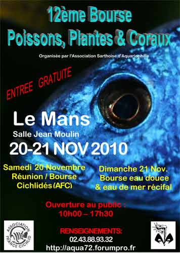 Affiche2010-sciano-ASA.jpg