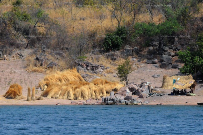 Chaumiers sur l'île d'Ulwile.