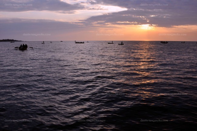 Scène de pêche à la senne au coucher du soleil à Kolongwe.