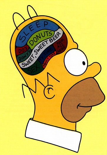 homer_braincolor2[1].jpg