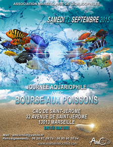 affiche bourse 2015 site.png