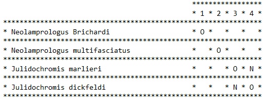 Tableau compatibilités Tanga